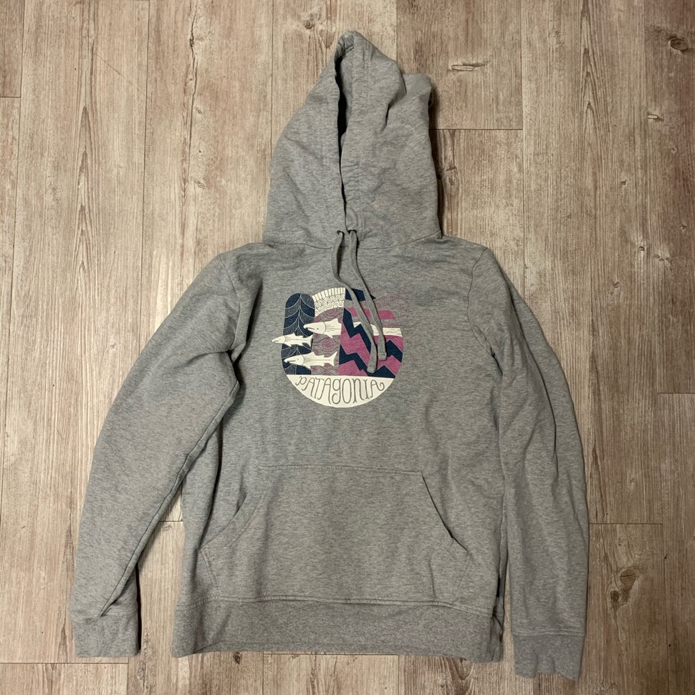 Patagonia Gray Hoody
